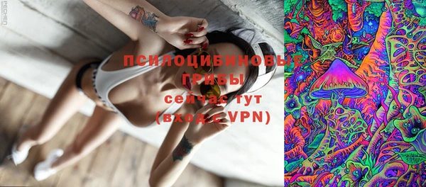 сатива Снежинск