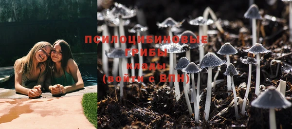 прущая мука Белокуриха