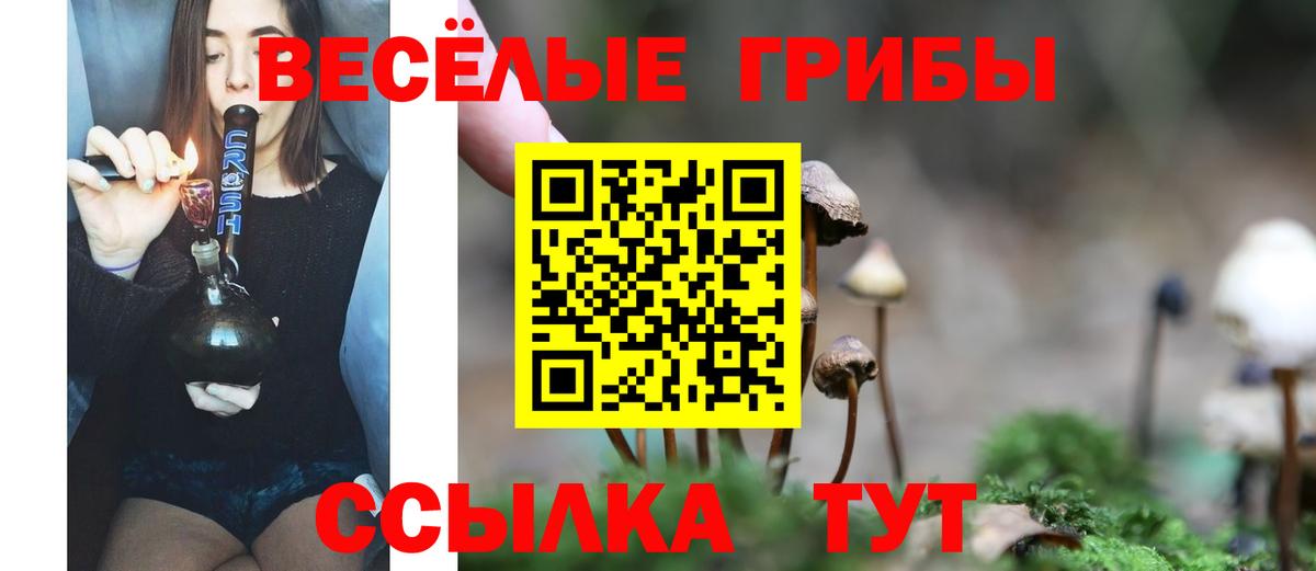 Псилоцибиновые грибы Cubensis  Вход с VPN  Славгород  Галлюциногенные грибы Psilocybe 