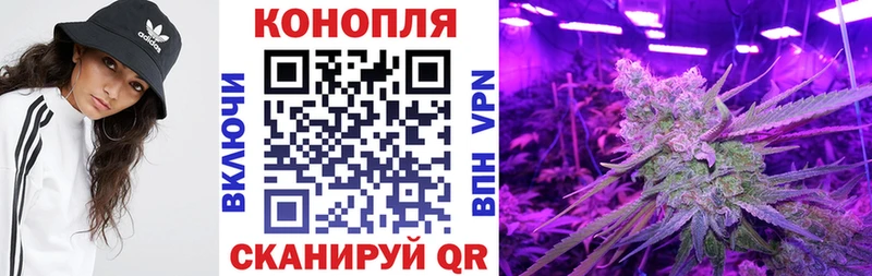 наркошоп  Славгород  Бошки Шишки Amnesia 